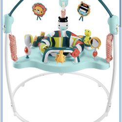 Fisher-Price Baby Bouncer Jumperoo
