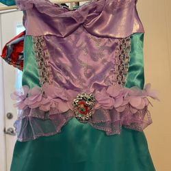  “ Princess” Disney Child Halloween costume