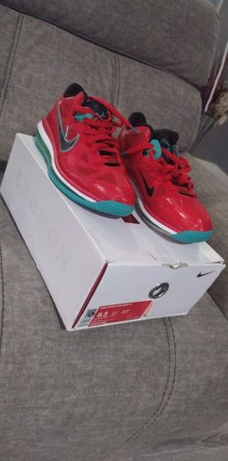 Nike LeBron Watermelon Seed