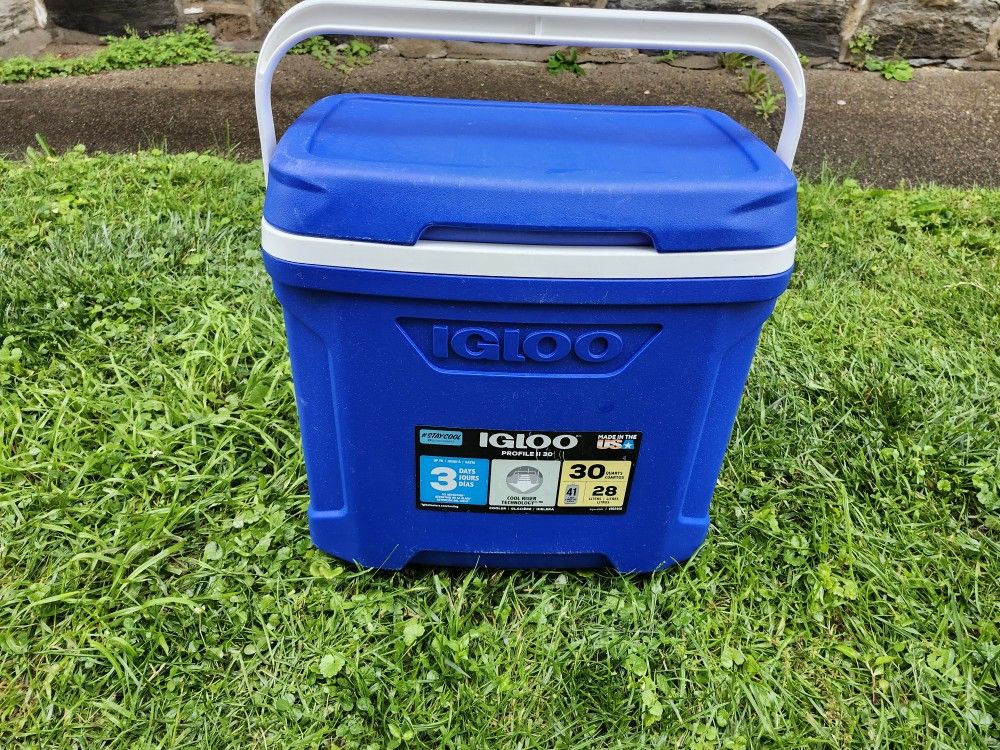 Igloo 30qt Cooler