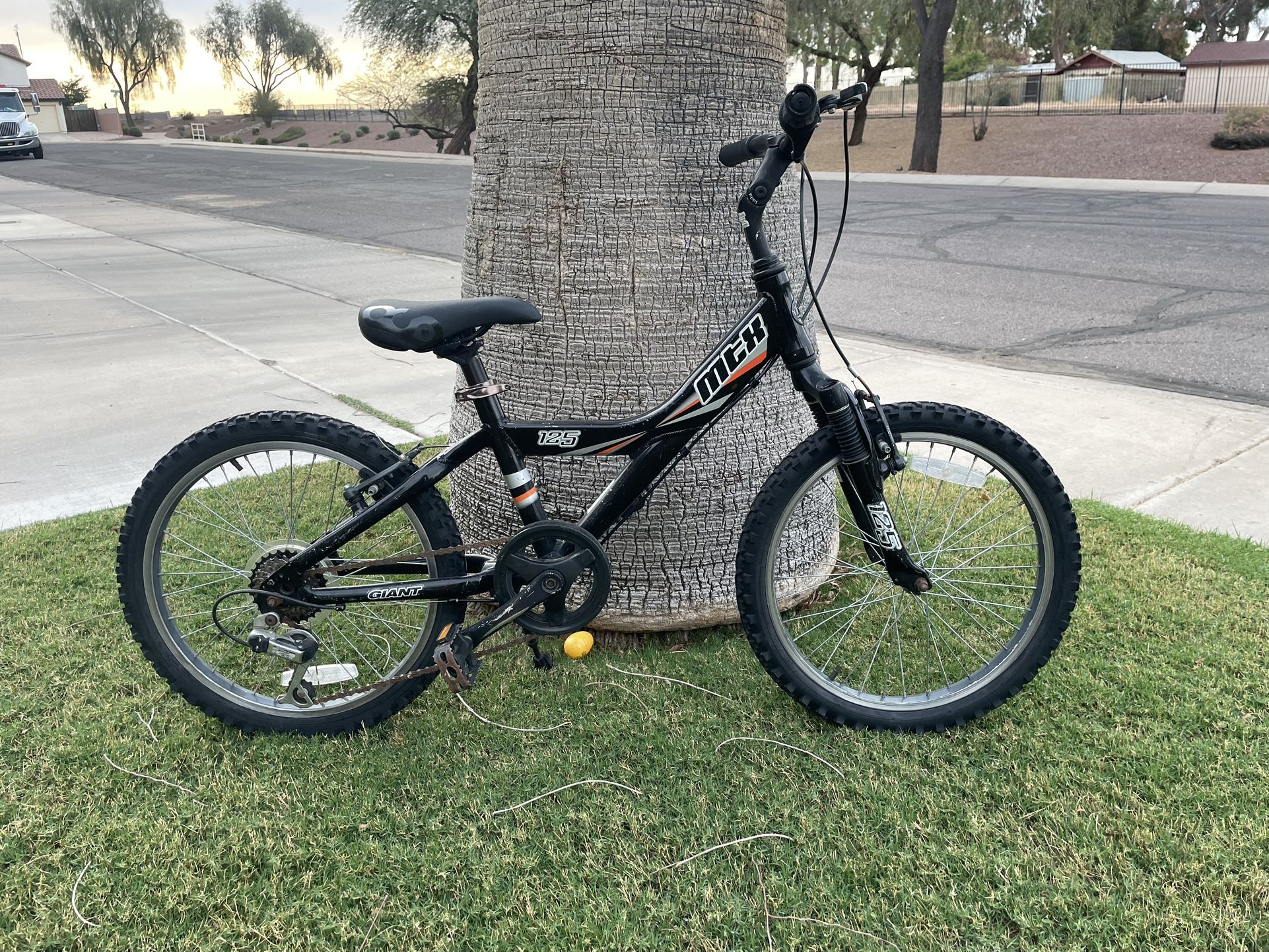 Kids Mountain Bike