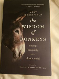 The Wisdom of Donkeys feeling tranquility in a chaotic world