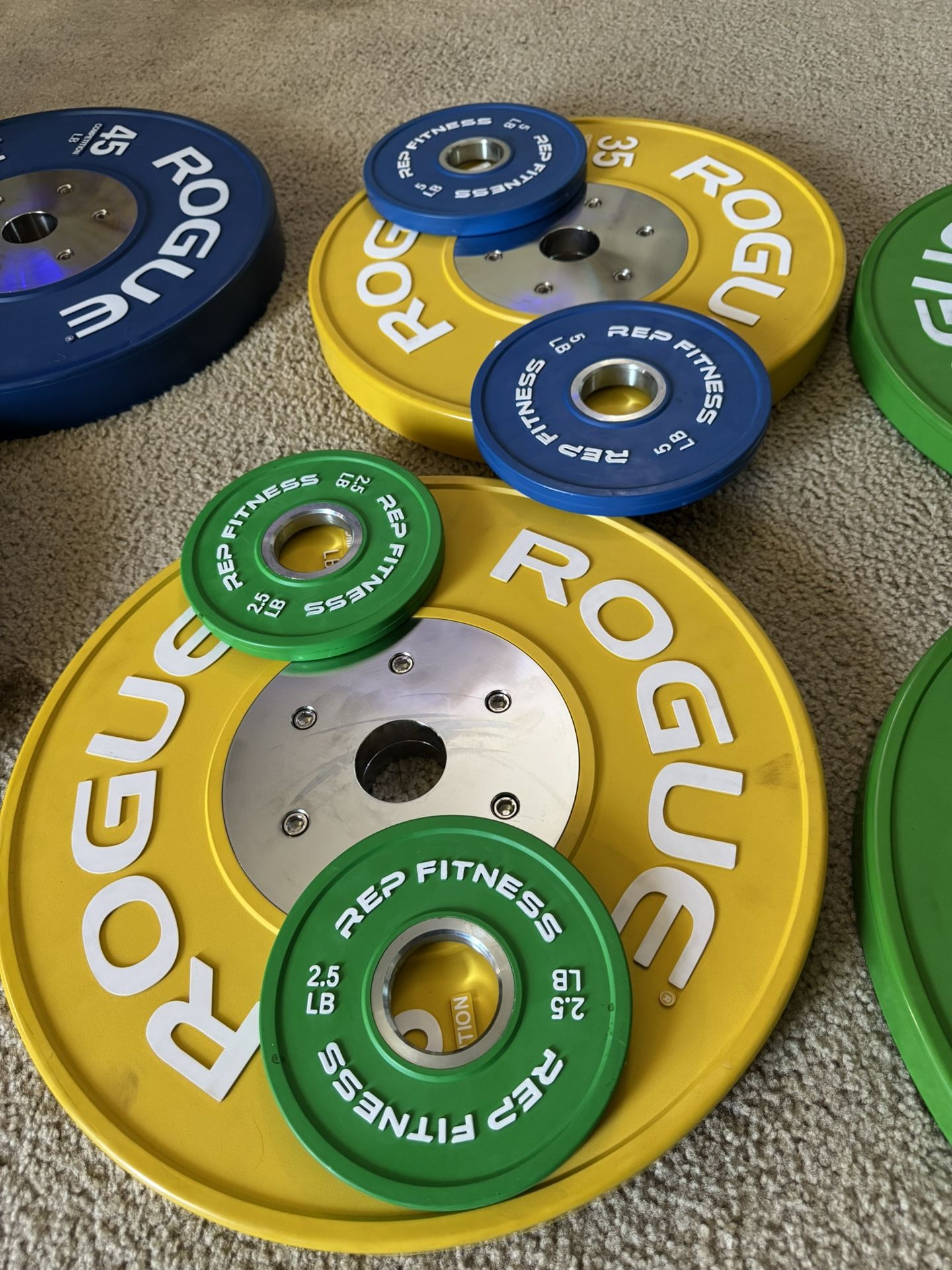 ROGUE TRAINNING PLATES
