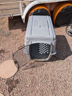 Plastic dog kennel