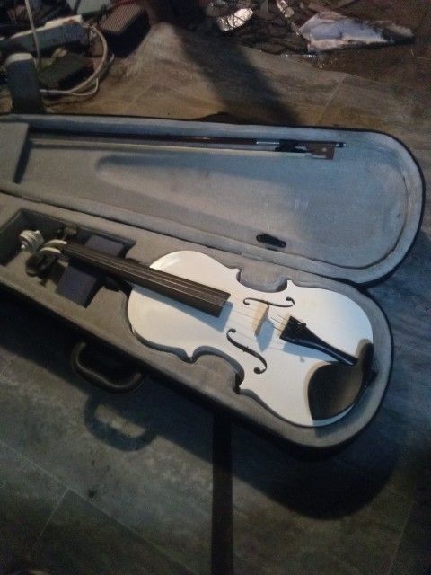 Viola And Case With Bow