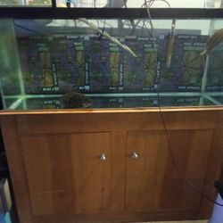 75 Gallon Tank & Stand 