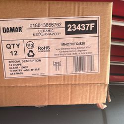 10 Damar 23437f Bulbs. T4