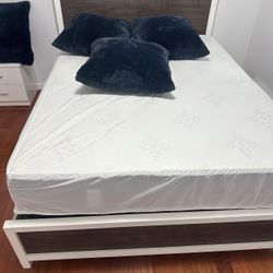 Queen Size bed 