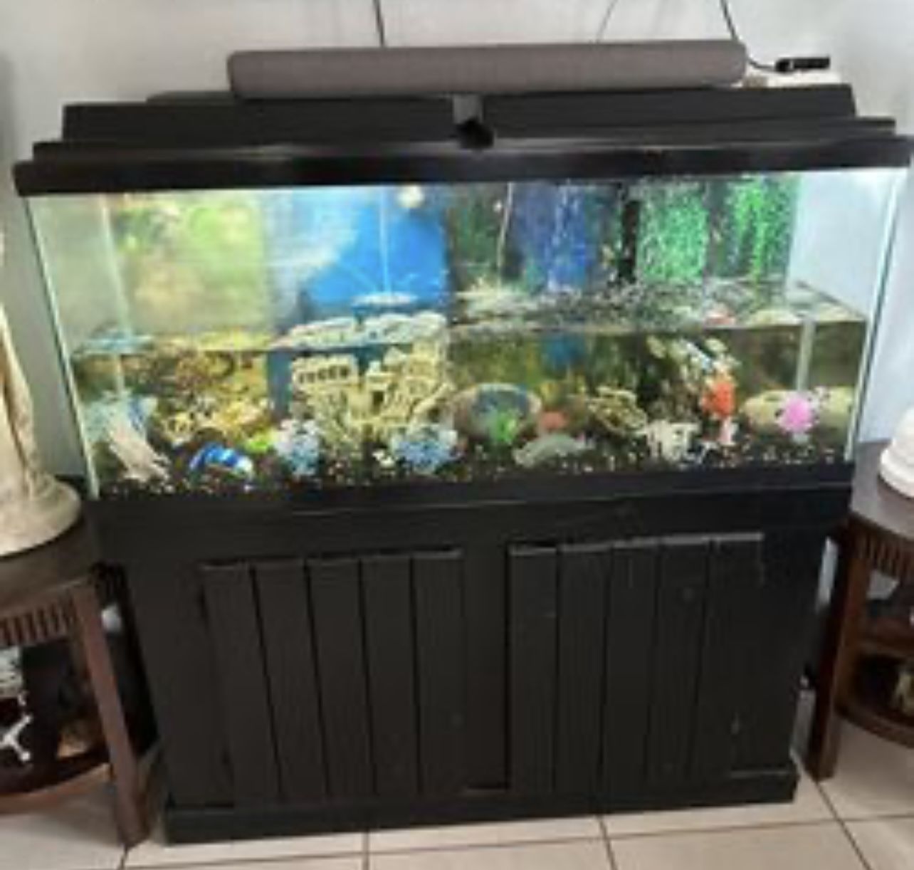 Fish Tank