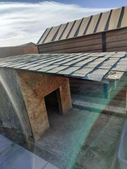 FREE dog house and wood