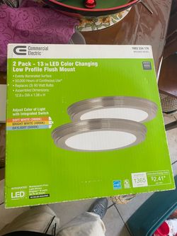 Commercial Electric 13in LED Flush Mount 2-Pack