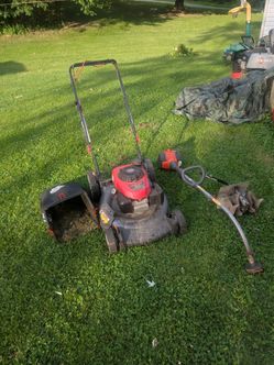 Lawn care special