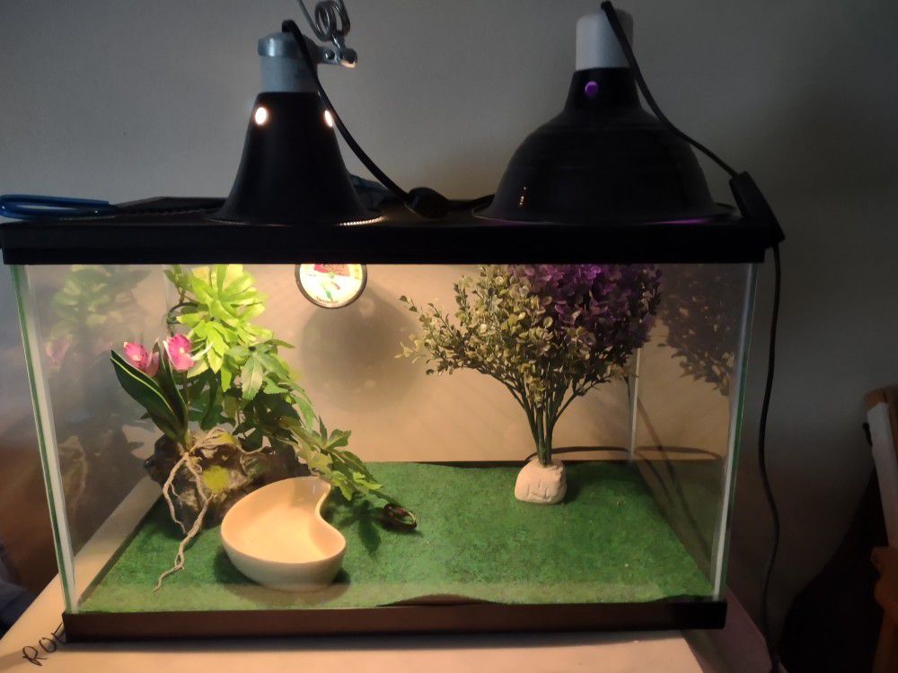 11 Piece 10 Gallon Double Lamp Up Tall Tank