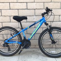 Schwinn Trasher 24”