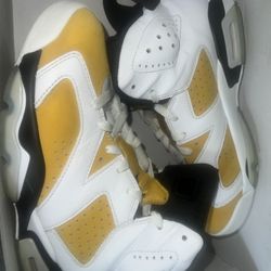 Air Jordan 6 Retro Ochre 