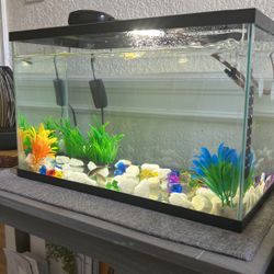 Fish Tank (5 Gallons)