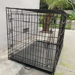 Kennel