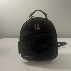 Small Tommy Hilfiger Backpack 