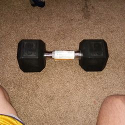 20lbs Dumbbell 