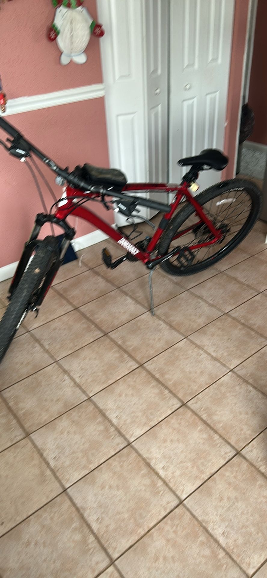 Diamondback Mountain Bike + Schwinn Storage