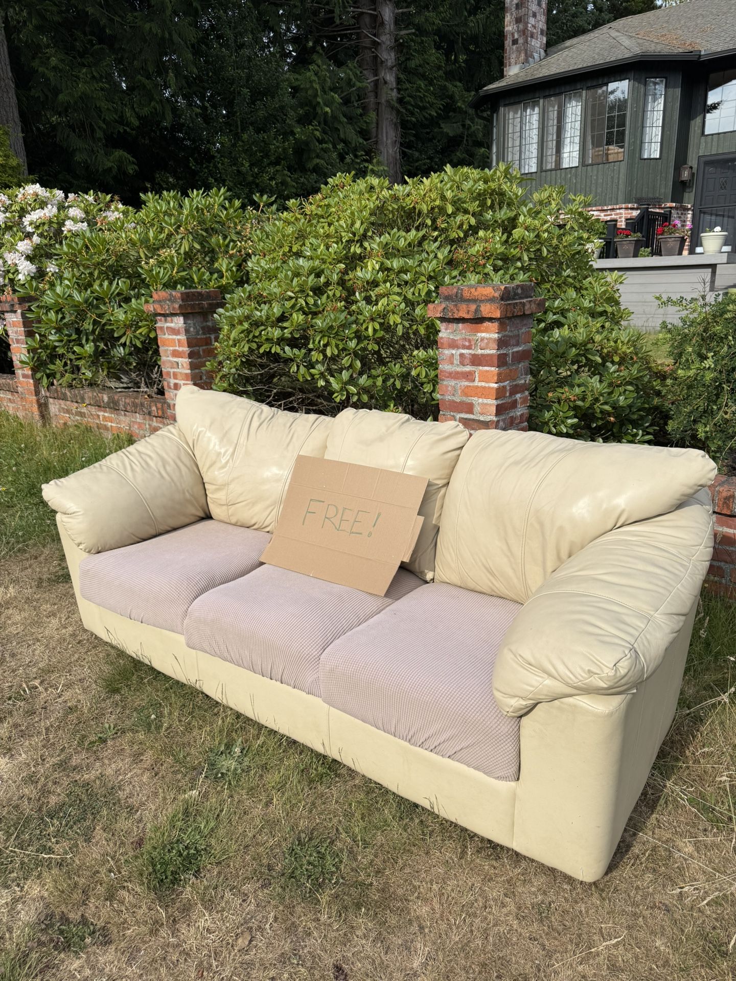Free Couch