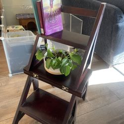Antique Chair/ Step-ladder