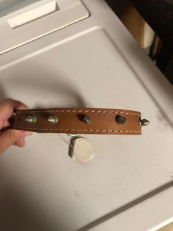 20” dog collar