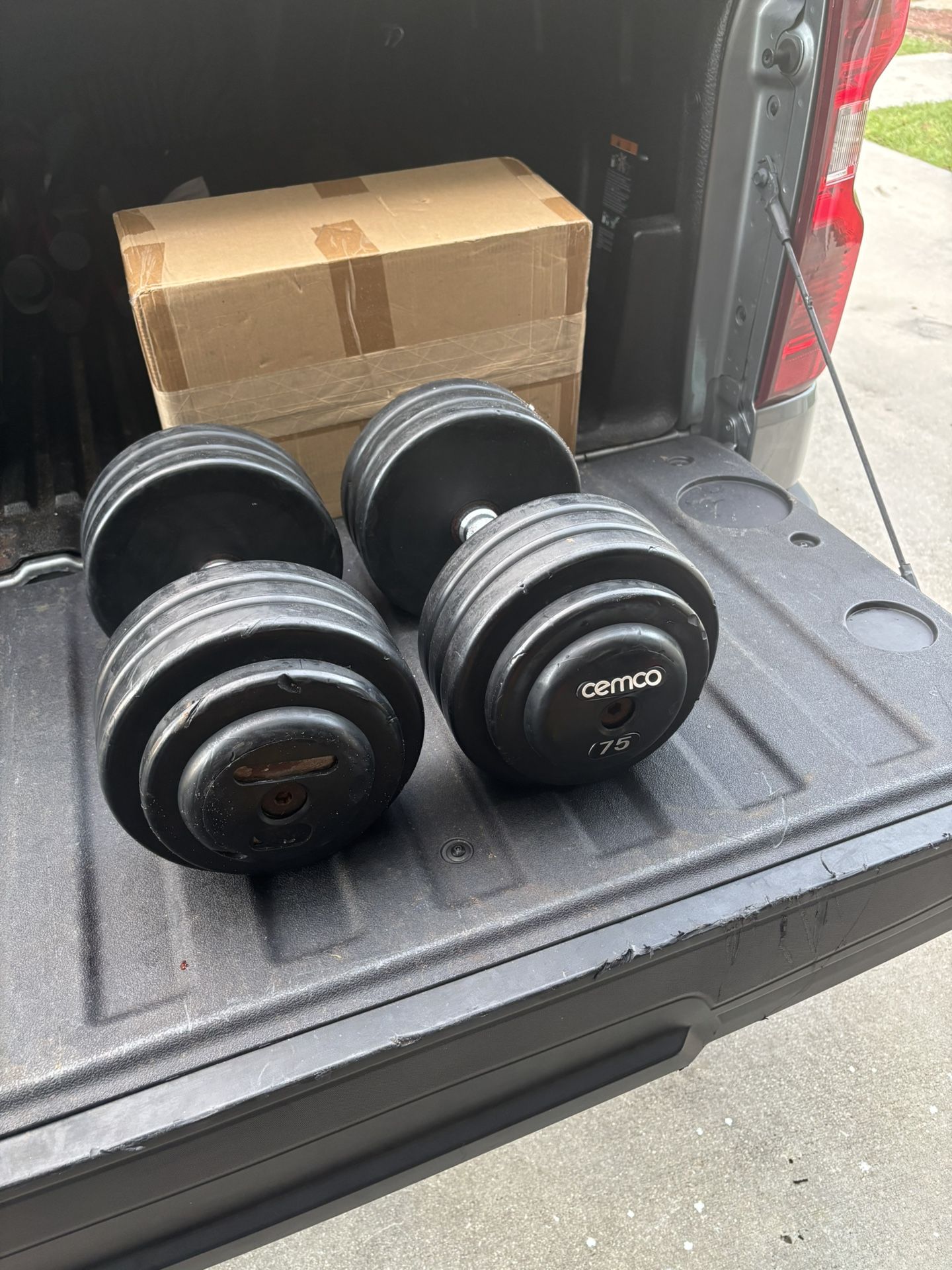 75 Pound Dumbbells