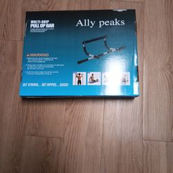 Pull Up Bar