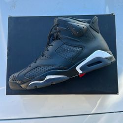 Jordan 6 Black Cat
