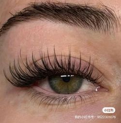 🎄 Christmas Special – Eyelash Extensions Event! 🎄 ✨ To thank everyone for your support this year, we’re excited to bring you our Holiday Special Dea