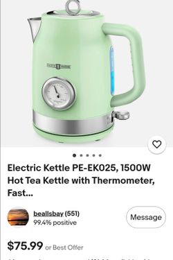 Paris Rhône Electric Kettle with Thermometer