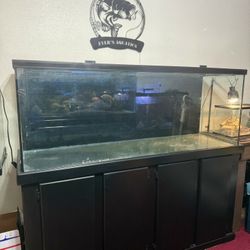 Aquarium 