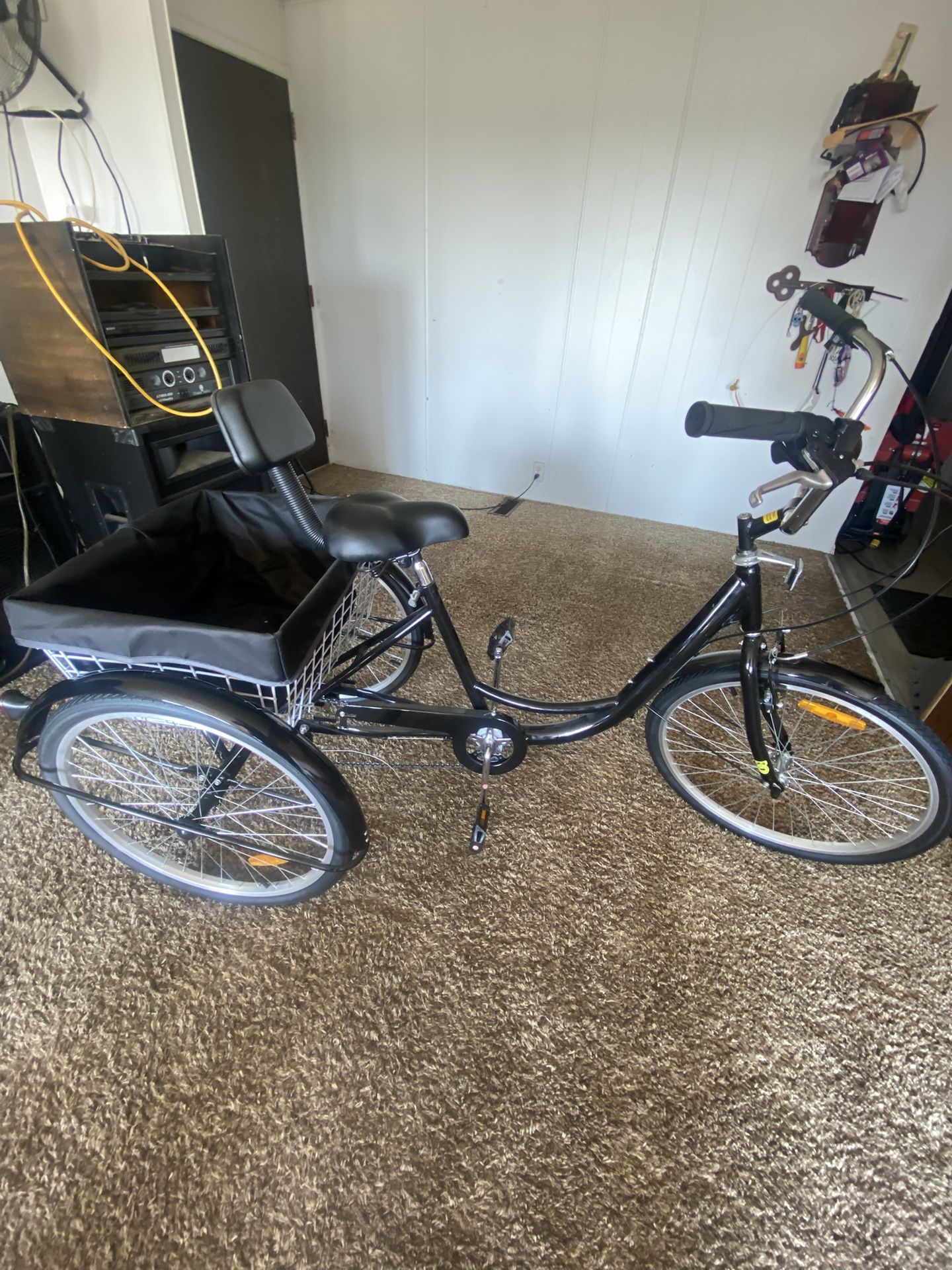 Tricycle Bike