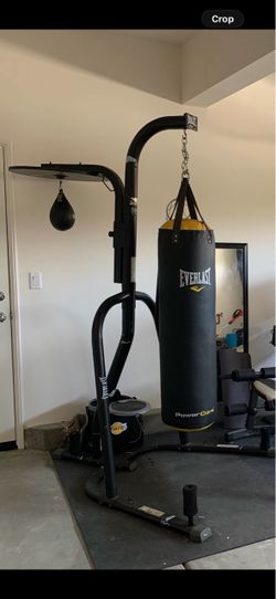 Everlast PowerCore Heavy Bag with Stand $175 OBO
