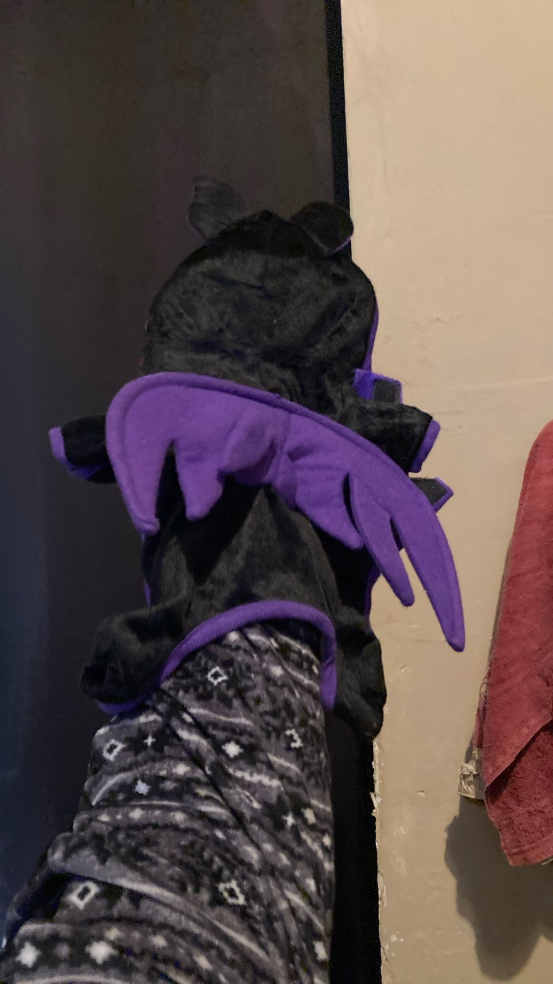 Dog Costume X Small Bat With Purple Wings$20