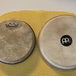 2 Bongo Head 
