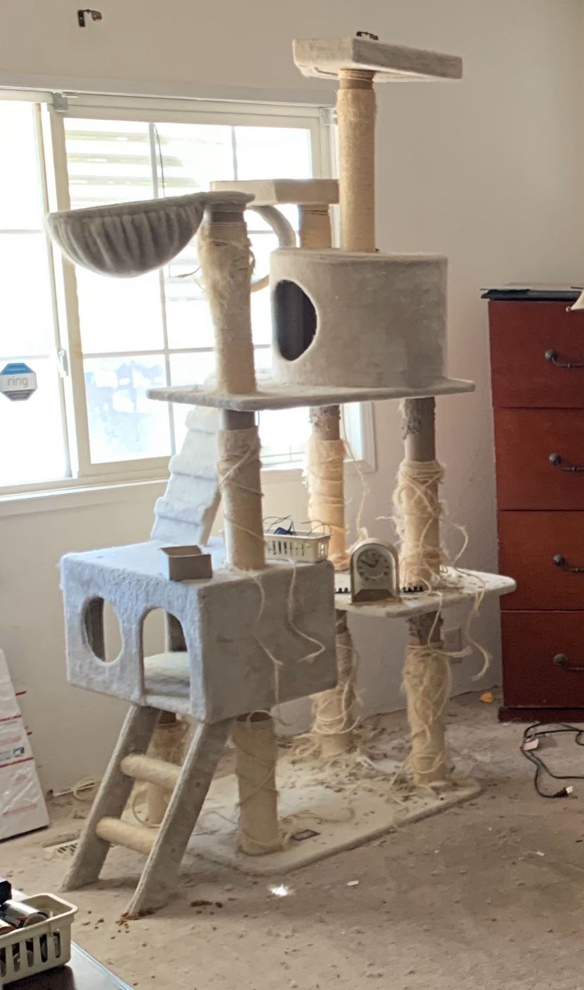 Cat Tree & Condo Scratch Post