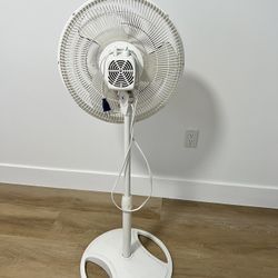Lasko Fan