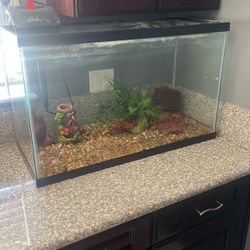 27 Gallon Fish Tank Comes With Rocks And Decor 