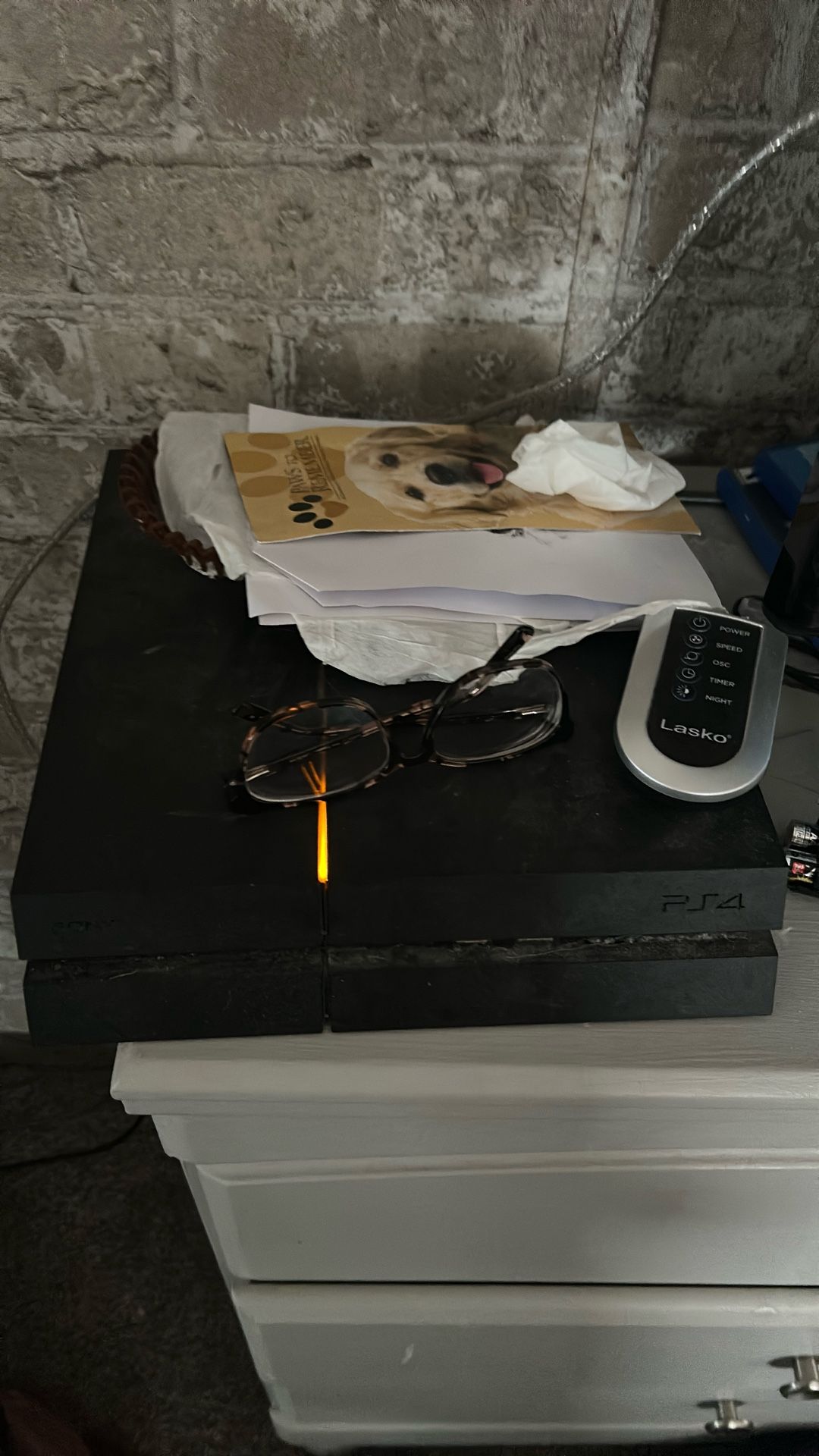 PS4