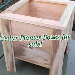 Cedar Planter Boxes For Sale