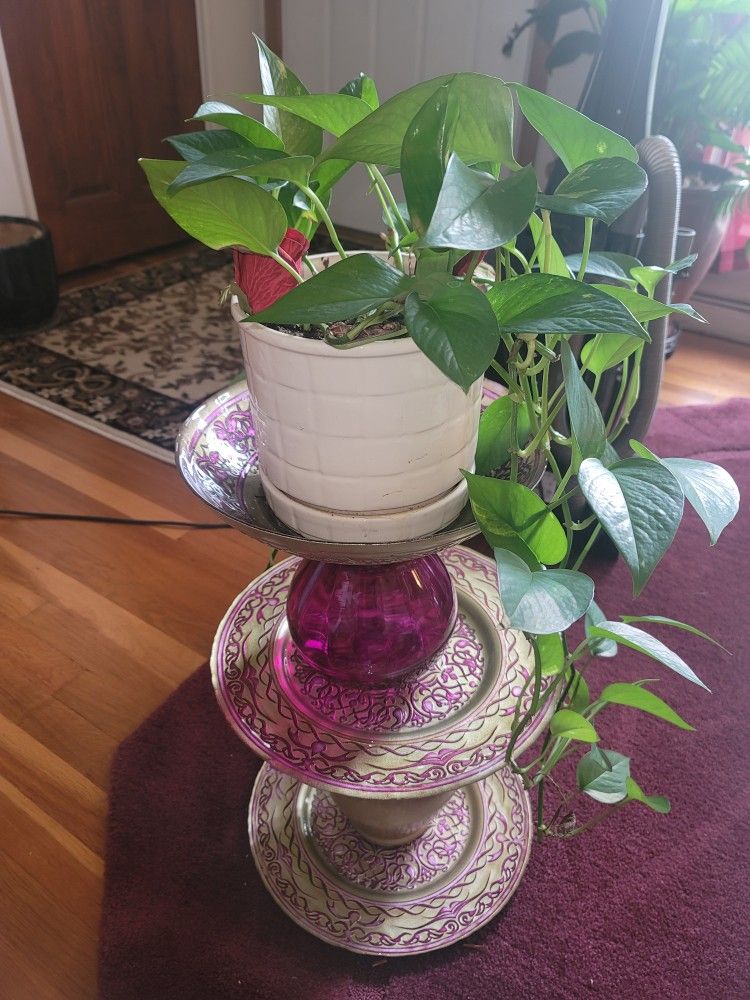 1 Of a Kind Plant Stand/Birdbath/feeder