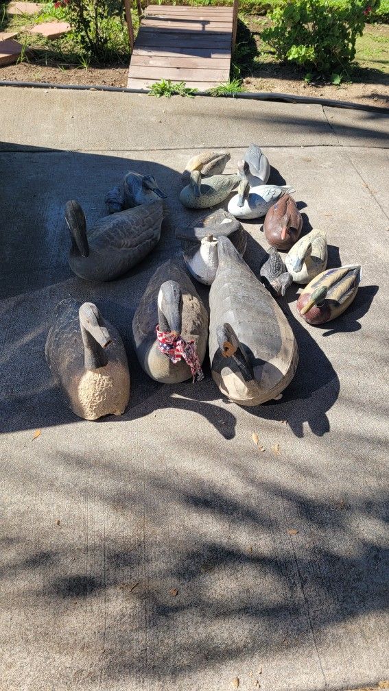 Decoys And Old Saddle