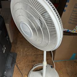 Oscillating Fan