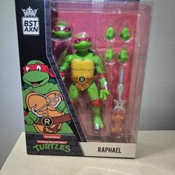 Raphael Action Figure 