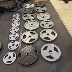 Olympic Plates $1.00 Per Pound