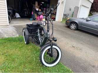 Puckipuppy e trike husky