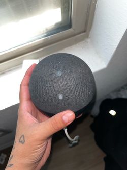 Alexa Echo