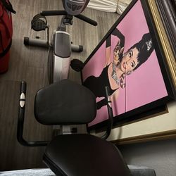 Need Gone!! Exercise Bike And More. Moving Sale.